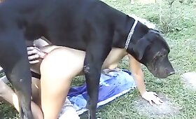 dog animal sex, zoo sex orgies