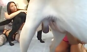 dog animal sex, bestiality sex