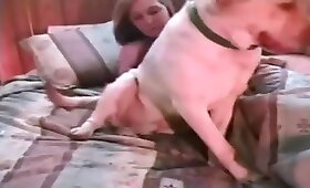 dog animal sex, zoo fucking videos