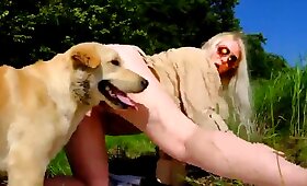 犬の動物のセックス, 動物園クソビデオ