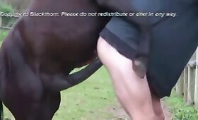 horse fuck porn, zoofilia porn