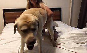 dog animal sex, free animal porn