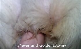 dog animal sex, zoo fucking videos