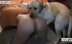 zoo prekleti videi, živalski spol psa