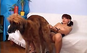 närbild zoophilia videor, hund djursex