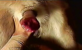 woman and animal, zoo fucking videos