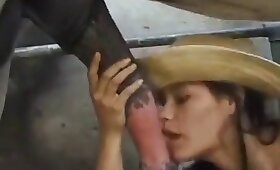 beštiálny sex, kone súložiť porno
