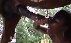 woman and animal, horse fuck porn
