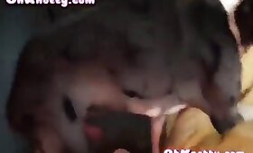 dog animal sex, free animal porn