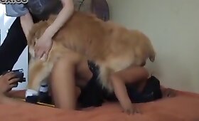 free animal porn, zoophilia fuck