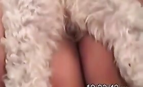 close up zoophilia videos, gay animal porn