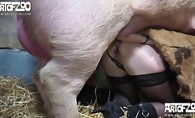 無料の動物ポルノ, 獣姦セックス