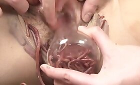 pussy animal fuck, worms and genitals