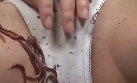 maggots, bestiality sex
