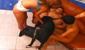 group zoophilia,zoo sex clips