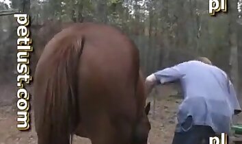 zoo-sex klipy,farmársky sex