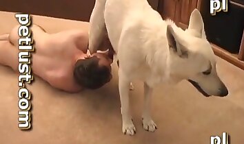 foda gostosa,sexo entre homem e animal