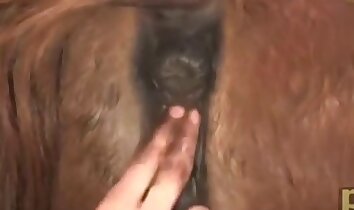 sexo na fazenda,sexo intenso