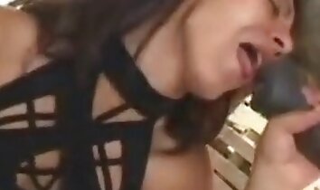 more calde,porno di donne e animali