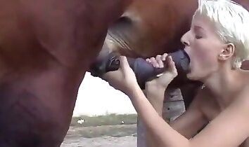 porno con stalloni,video di sesso allo zoo
