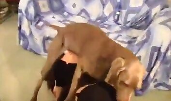 後背位セックス,激しいセックス