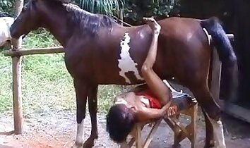 video di sesso allo zoo,video porno di zoofilia