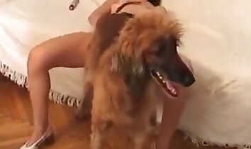 intense sex,penetration porn