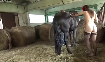 dick riding,wild zoophilia sex