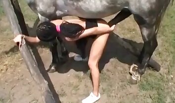 video di sesso allo zoo,sesso animale