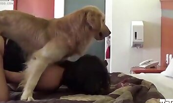 clipes de sexo no zoológico,sexo apaixonado