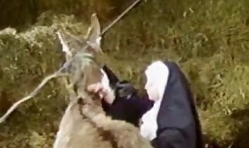 sexo na fazenda,vídeo pornô de zoofilia