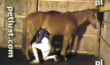 zoofilia di gruppo,zoo-porno di alta qualità