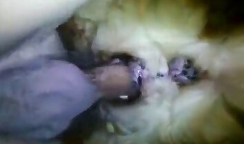 sexo animal hardcore,foda gostosa