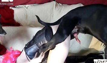 zoofilia di gruppo,sesso hardcore con animali