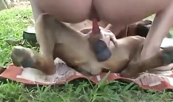 sexo zoofílico salvaje,video de sexo zoológico