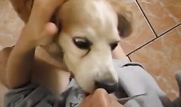 namiętny seks,gejowskie zoo porno