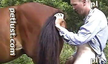sesso hardcore con animali,sesso a pecorina