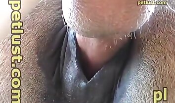 maximální potěšení,farmářský sex