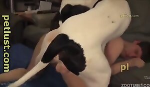 नि: शुल्क कुत्ते के सेक्स वीडियो