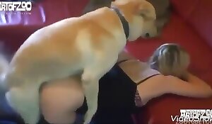 free dog sex videos sex with animals porn free