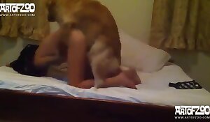 bestiality on camera, free dog sex videos