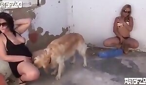 videos de sexo de perros gratis