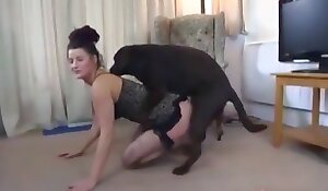 free dog sex videos, porn with animals free movies