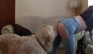 brezplačna pornografija z živalmi