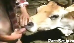 women and animals fucking, having sex with animals
