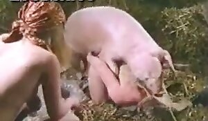 beastiality movies for free, pig fuck xxx porn