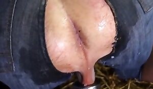 pig fuck xxx porn, beastiality porn videos
