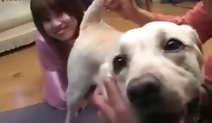 asian beastiality collection free dog sex videos