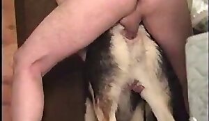 Impressive beastiality fucking is right  here. Free bestiality and animal porn  
