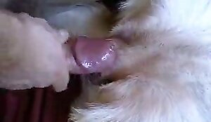 Δωρεάν βίντεο σεξ με σκύλους